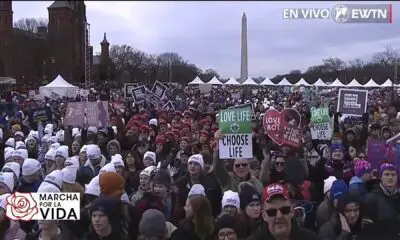 Miles de familias y jóvenes marcharon por la vida en Washington - Foto: captura TV
