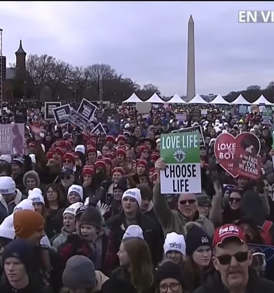 Miles de familias y jóvenes marcharon por la vida en Washington - Foto: captura TV