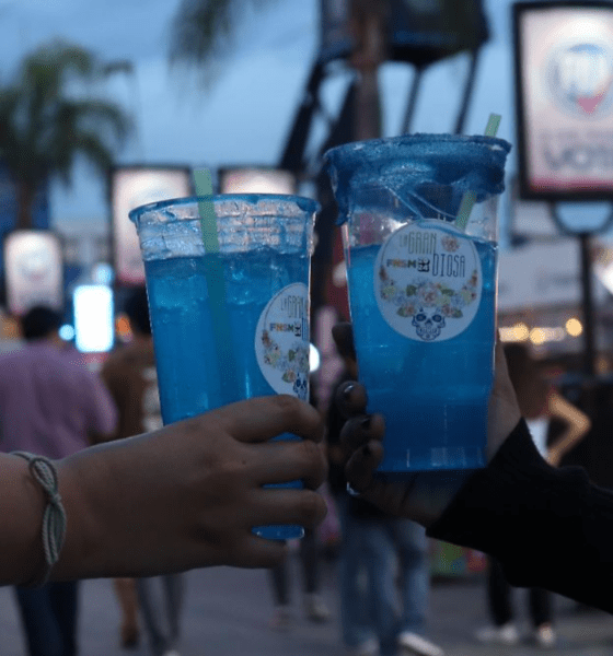 Generación Z bebe menos alcohol