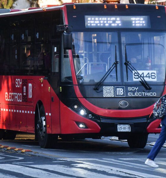 Proponen transporte público gratuito para jóvenes ambientalistas