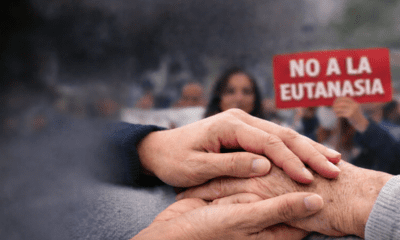 Foto: imagen de stock creada con IA