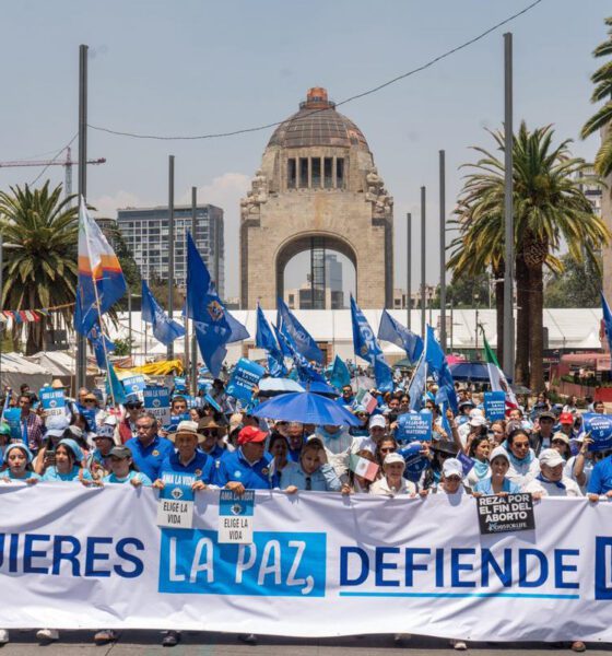 La Marcha por la Vida y su expansión mundial