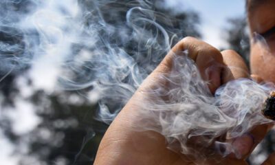 Marihuana desacelera memoria y aprendizaje en adolescentes, revela estudio