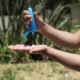 Daños visibles e invisibles; impacto del sol en el organismo