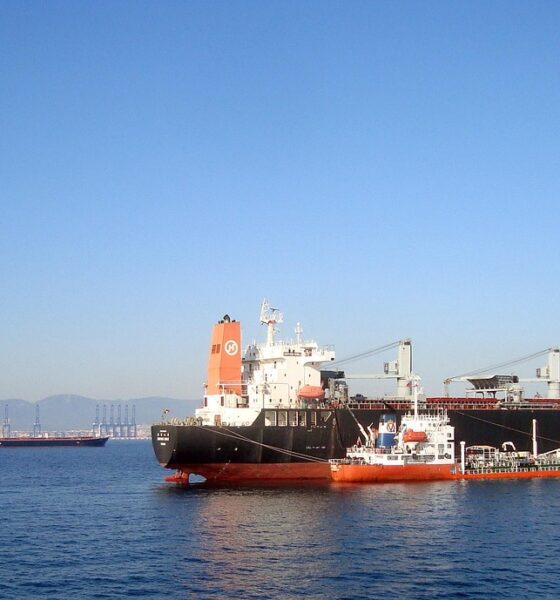 Las acciones marítimas se suman al bloqueo impulsado por Estados Unidos en rutas cercanas al estrecho de Ormuz. Foto archivo: pixabay.com