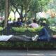 Estrés, miedo social y polarización dañan salud emocional de jóvenes